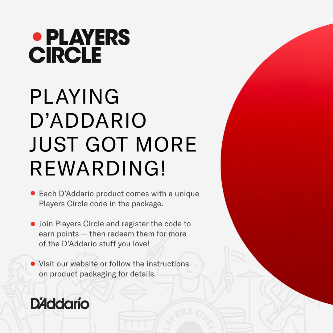 D'Addario Guitar Strings - Acoustic Guitar Strings - Nickel Bronze - For 6 String Guitar - Natural, Clear, & Focused Tone - NB1253 - Light, 12-53 - Image 5