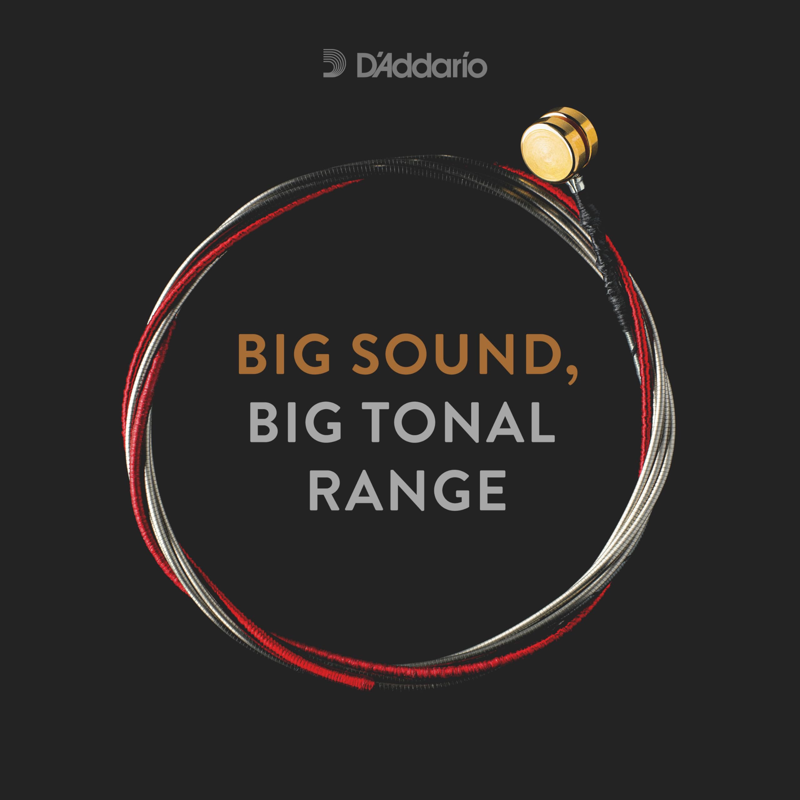 D'Addario Kaplan Bass Strings - Full Set - K610 3/4L - For Upright Bass, Double Bass - 3/4 Scale, Light Tension - Image 3